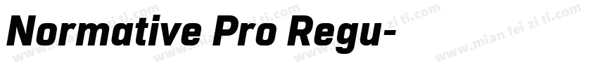 Normative Pro Regu字体转换
